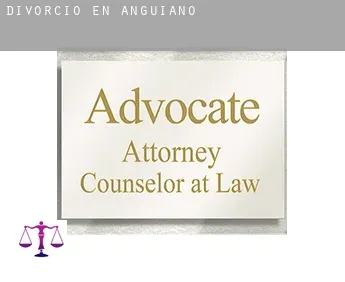 Divorcio en  Anguiano