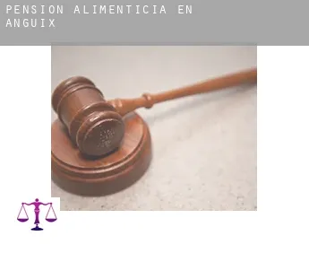 Pensión alimenticia en  Anguix