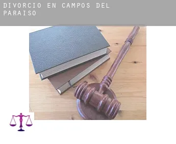 Divorcio en  Campos del Paraíso