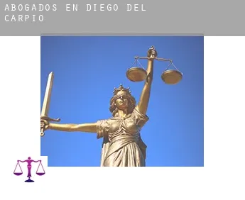 Abogados en  Diego del Carpio