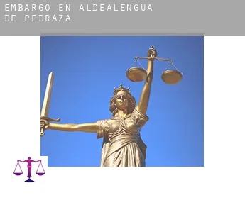 Embargo en  Aldealengua de Pedraza