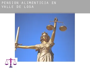 Pensión alimenticia en  Valle de Losa
