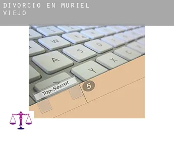 Divorcio en  Muriel Viejo