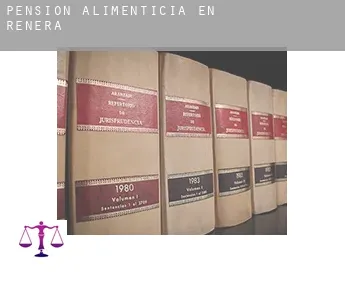 Pensión alimenticia en  Renera