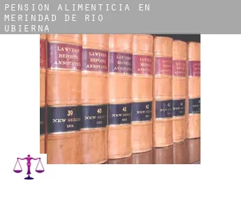 Pensión alimenticia en  Merindad de Río Ubierna