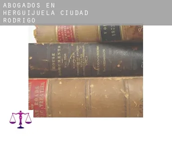 Abogados en  Herguijuela de Ciudad Rodrigo