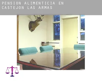 Pensión alimenticia en  Castejón de las Armas