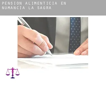 Pensión alimenticia en  Numancia de la Sagra
