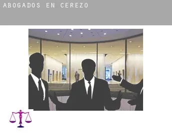 Abogados en  Cerezo