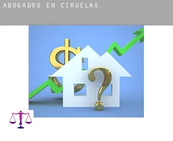 Abogados en  Ciruelas