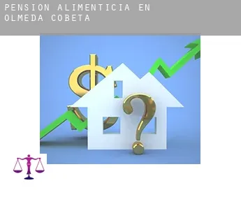 Pensión alimenticia en  Olmeda de Cobeta