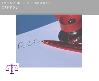 Embargo en  Tamariz de Campos