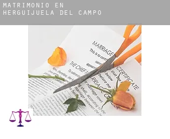 Matrimonio en  Herguijuela del Campo