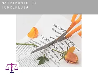 Matrimonio en  Torremejía